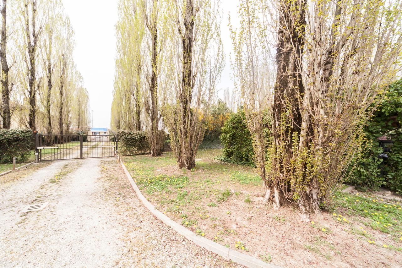 Il Borgo Di Minerva Hotell Minerbio Exteriör bild